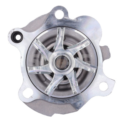 SWAG-(FEBI-15900)-POMPA ACQUA